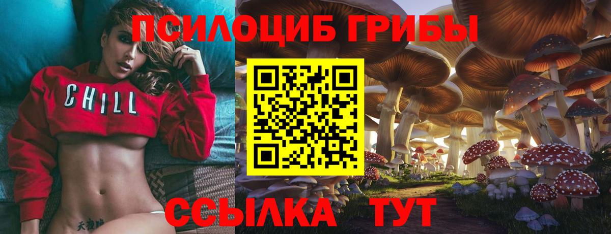 Псилоцибиновые грибы ЛСД Оренбург